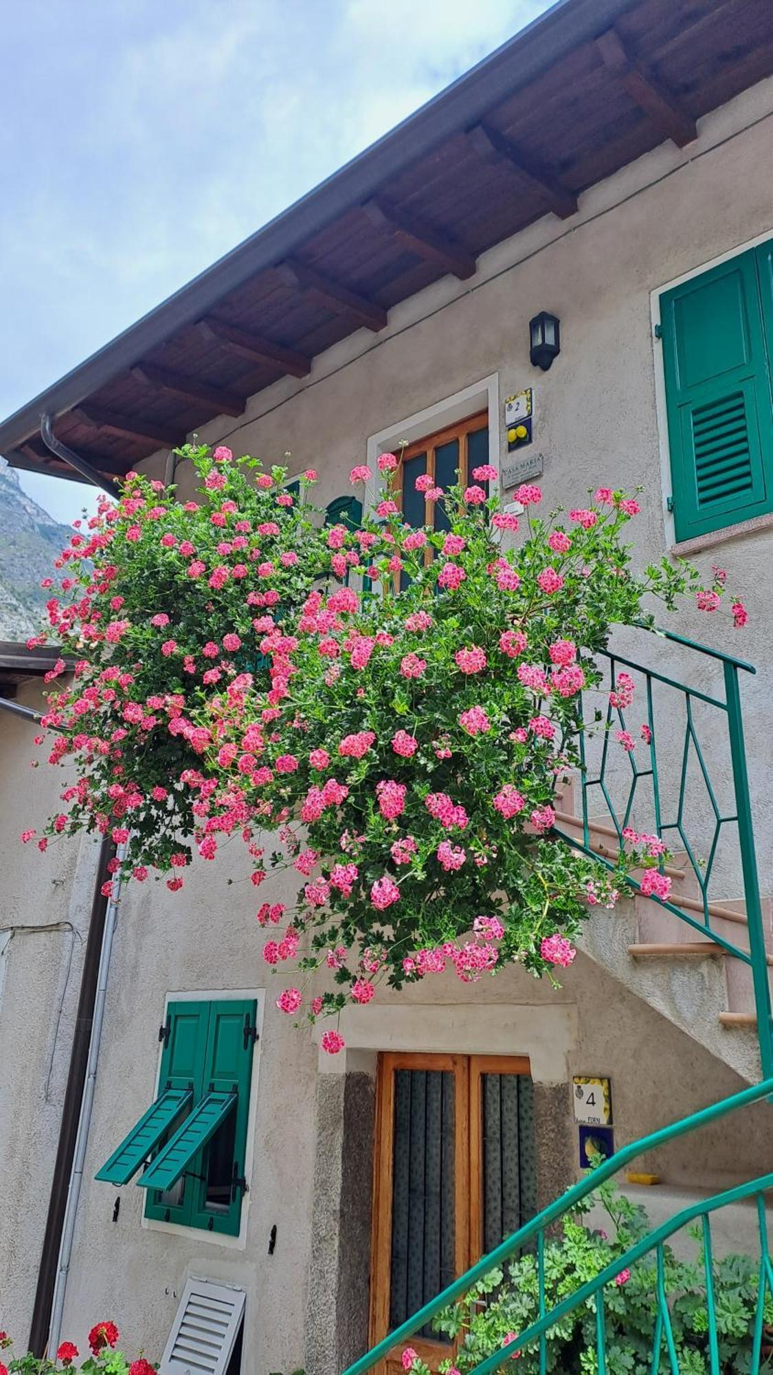 Casa Maria Lafinestrasulgarda Apartamento Limone sul Garda Exterior foto